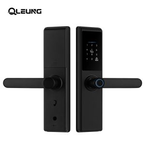 Serrure de porte intelligente S821 compatible avec les applications Tuya et TTLock, accès par empreinte digitale, mot de passe, carte RFID et clé mécanique pour maison et appartement locatif