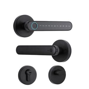 Serrure de porte numérique antivol durable, application Tuya pour smartphone, serrure de porte biométrique à empreintes digitales, poignée pour maison, appartement, bureau